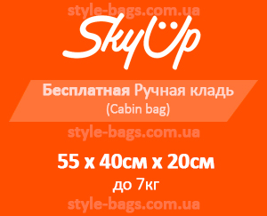размер ручной клади SkyUp